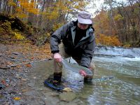 Fly fishing picture