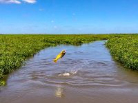 Foto de pesca con mosca