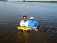 Dorado del Rio Corriente