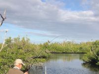 Fly fishing picture