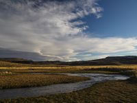 Fly fishing picture