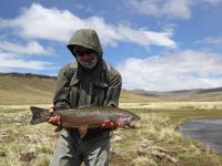 Fly fishing picture