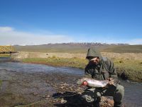 Fly fishing picture