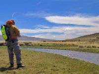 Fly fishing picture