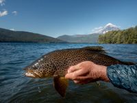 Foto de pesca con mosca