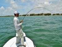 Fly fishing picture