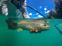 Foto de pesca con mosca