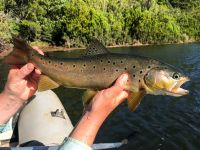 Foto de pesca con mosca