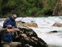 Fly fishing picture