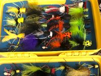 Everglades freshwater flies