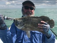 Tripletail