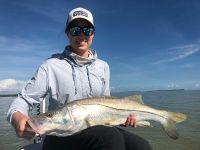 Nice flamingo snook