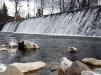 The dam with the Trout hiding spots