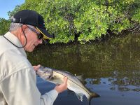 Fly fishing picture