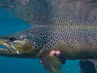 Foto de pesca con mosca