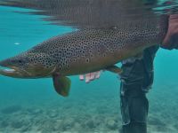 Foto de pesca con mosca