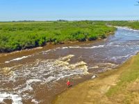 Foto de pesca con mosca