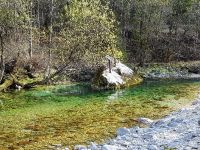 Lepena River - Fly fishing Slovenia 
More info: http://www.urkofishingadventures.com/
