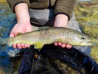 Lepena River - Fly fishing Slovenia 
More info: http://www.urkofishingadventures.com/
