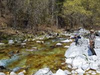 Lepena River - Fly fishing Slovenia 
More info: http://www.urkofishingadventures.com/
