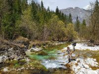 Lepena River - Fly fishing Slovenia 
More info: http://www.urkofishingadventures.com/
