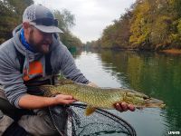 Pike on a fly
More info: www.urkofishingadventures.com