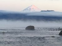 Foto de pesca con mosca