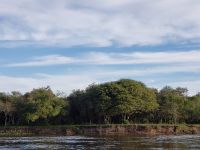 Foto de pesca con mosca