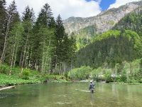 Fly fishing picture