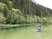 Fly fishing picture