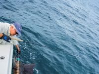 Foto de pesca con mosca