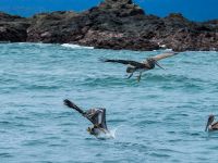 Foto de pesca con mosca