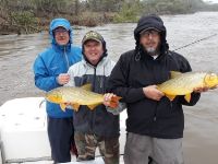 Foto de pesca con mosca