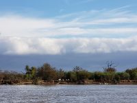 Foto de pesca con mosca