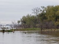 Foto de pesca con mosca