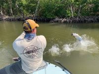 Fly fishing picture