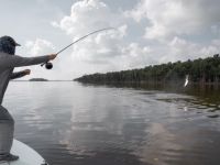 Fly fishing picture