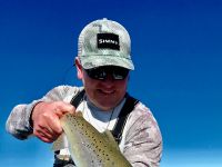 Wild New Zealand Brown Trout, Te Anau, Fiordland. 