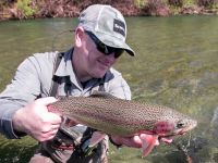 Solid Rainbow Trout New Zealand South Island Te Anau Fiordland