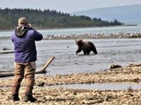 Fly fishing picture