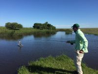 Foto de pesca con mosca