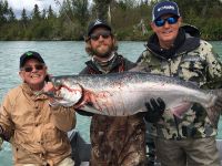 chinook or king salmon