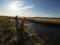 Fly fishing picture