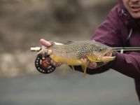 Fly fishing picture