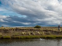 Fly fishing picture