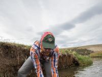 Fly fishing picture