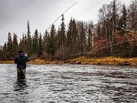 Fly fishing picture