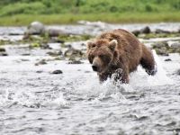 Fly fishing picture