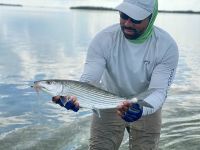 Fly fishing picture