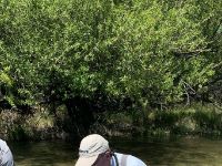 Foto de pesca con mosca